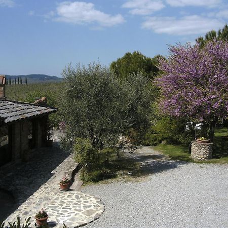 Casa Lucia In Chianti Bed & Breakfast Vagliagli Екстериор снимка