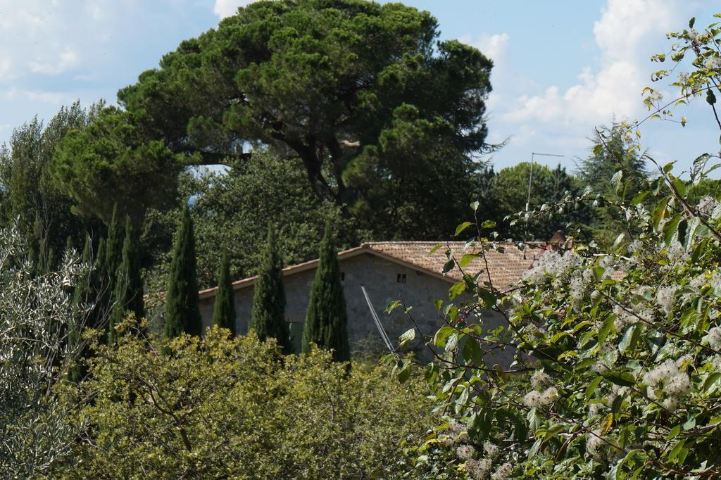 Casa Lucia In Chianti Bed & Breakfast Vagliagli Екстериор снимка
