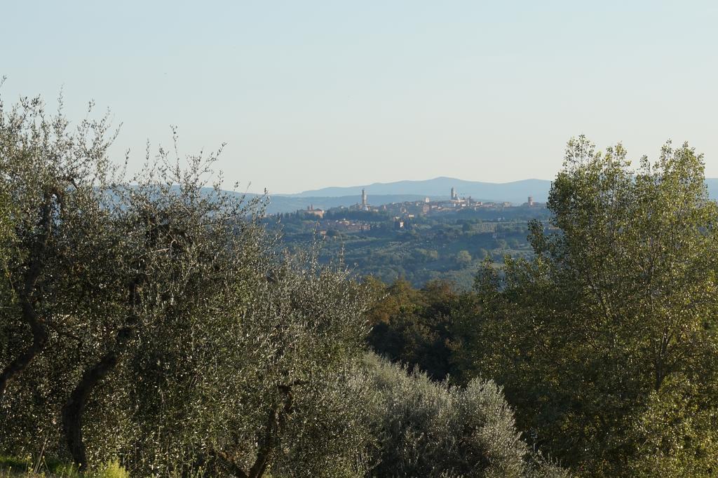 Casa Lucia In Chianti Bed & Breakfast Vagliagli Екстериор снимка