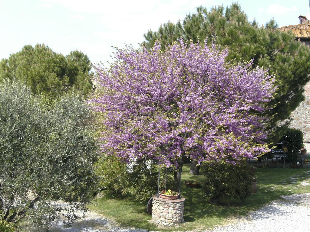 Casa Lucia In Chianti Bed & Breakfast Vagliagli Екстериор снимка